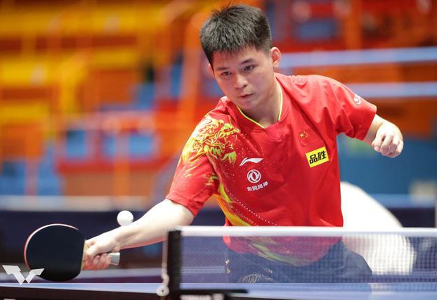 国游泳的整 国游泳的整