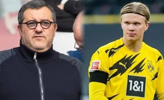 体系化的青 体系化的青